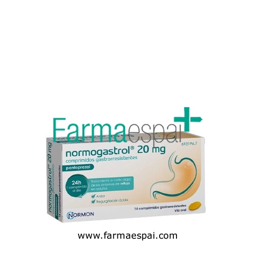 NORMOGASTROL 20 mg COMPRIMIDOS GASTRORRESISTENTES, 14 comprimidos