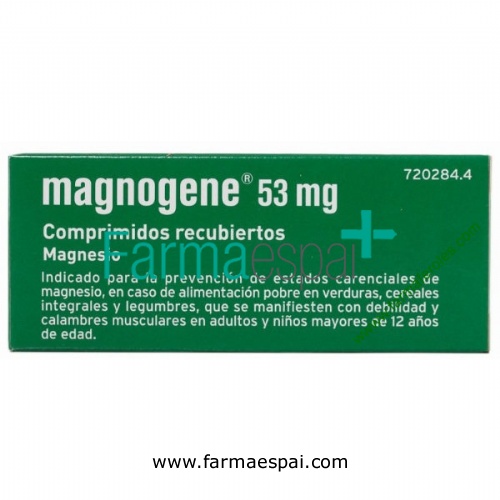 MAGNOGENE 53 mg COMPRIMIDOS RECUBIERTOS, 45 comprimidos