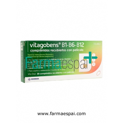 VITAGOBENS B1 B6 B12 COMPRIMIDOS RECUBIERTOS CON PELICULA, 30 comprimidos