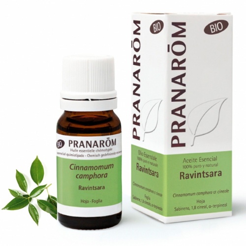 Pranarom aceite esencial ravintsara