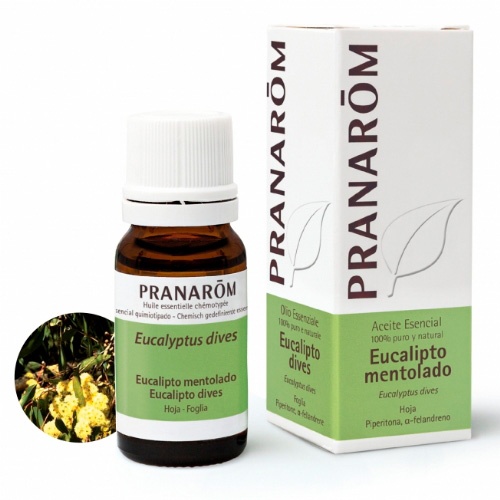 Pranarom eucalipto mentolado hoja 10ml aeqt
