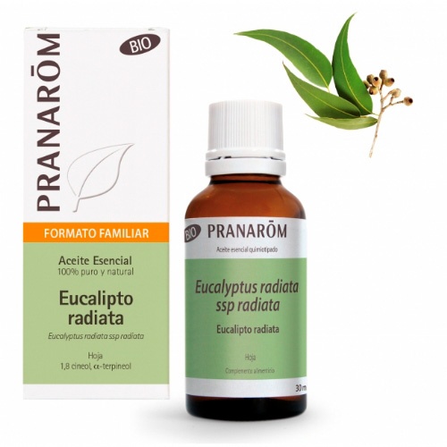 Pranarom aceite esencial eucalipto radiata 30 ml