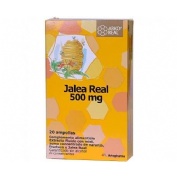 Arkoreal jalea real (50o mg 20 ampollas)