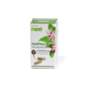HARPAGOFITO NEO (200 MG 45 CAPS)