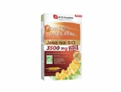 Forte Pharma Jalea Real Bio 10 Viales