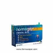 NORMOGRIP CAPSULAS DURAS, 14 capsulas (Blister Al-PVCD/PVC)