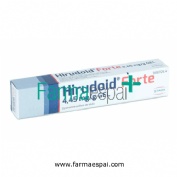 HIRUDOID FORTE 4,45 mg/g GEL, 1 tubo de 60 g